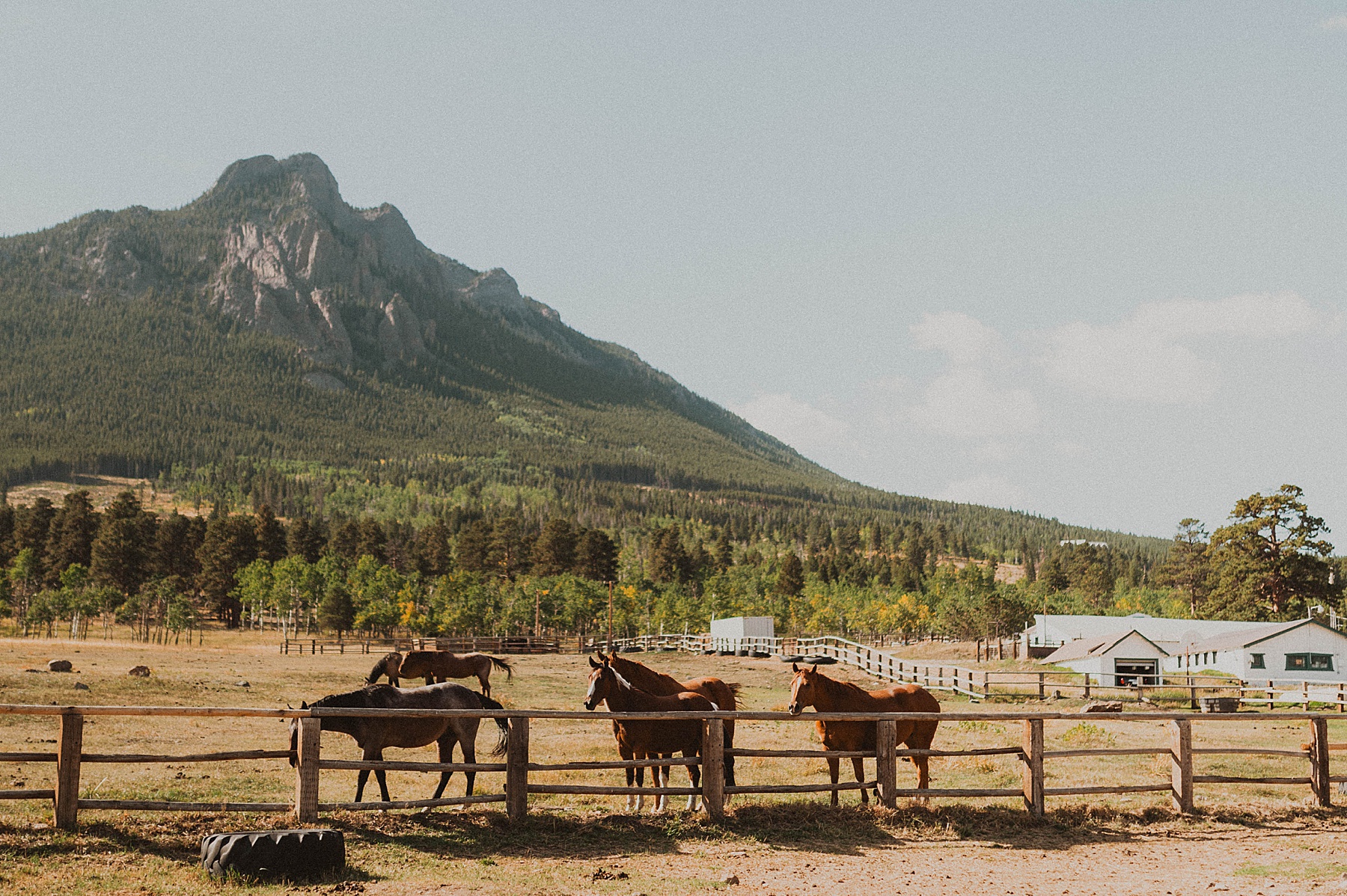 taharaa mountain lodge wedding in estes park, colorado 